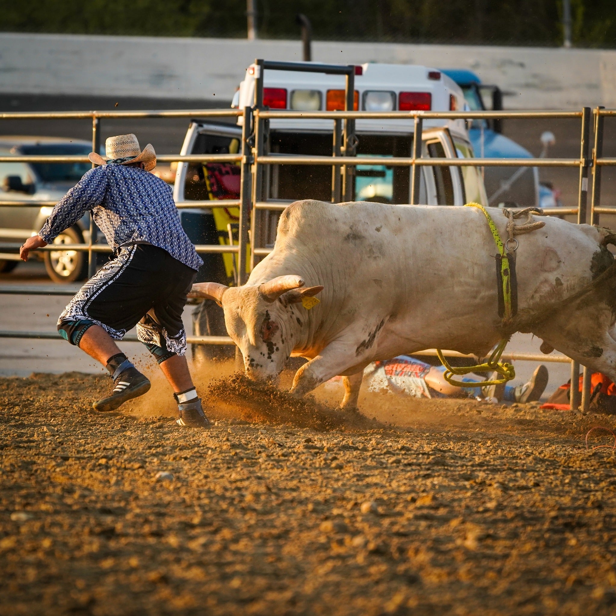 Lake Erie Stampede